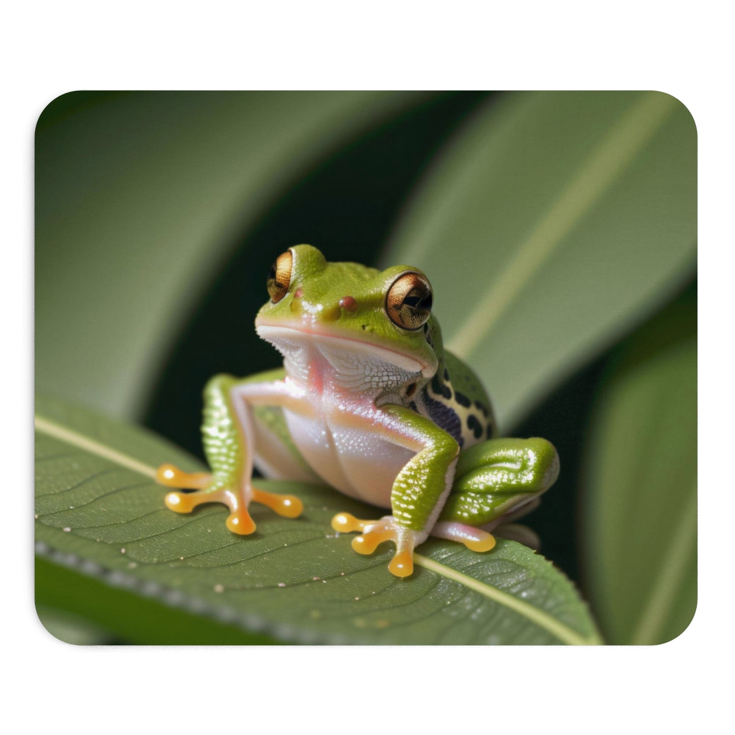 Tapis de Souris Grenouille