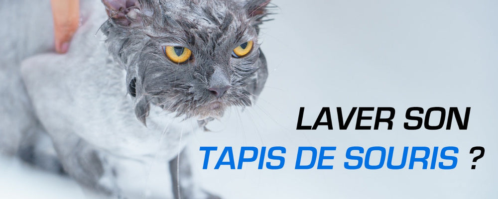 Chat mouillé et titre « Laver son tapis de souris ? »