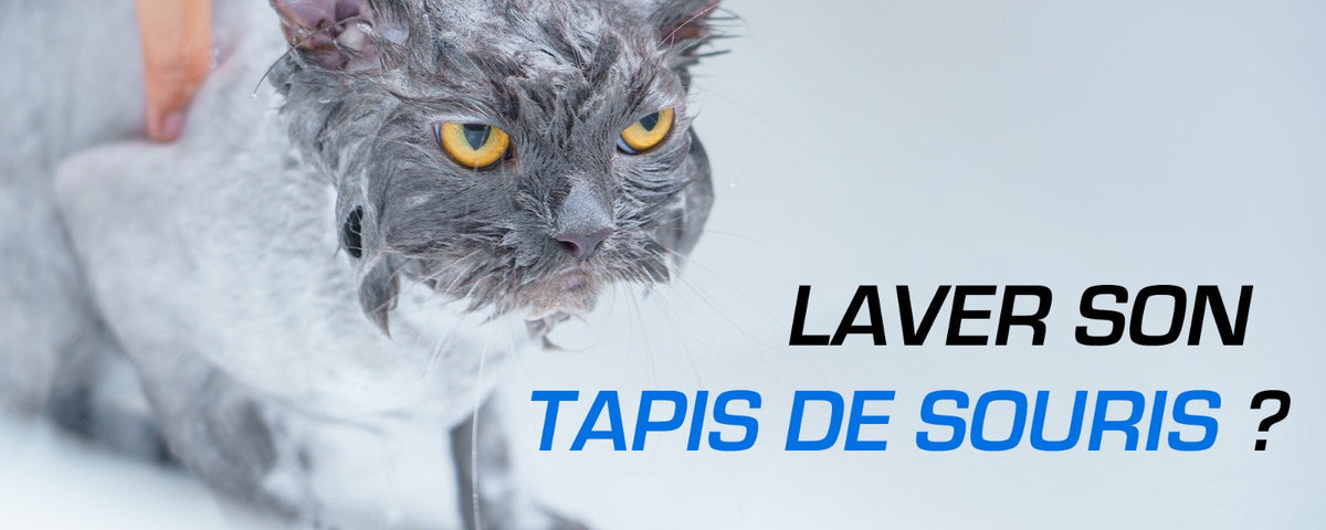 Chat mouillé et titre « Laver son tapis de souris ? »